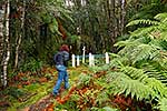 Joshua Morgan's grave, Taranaki