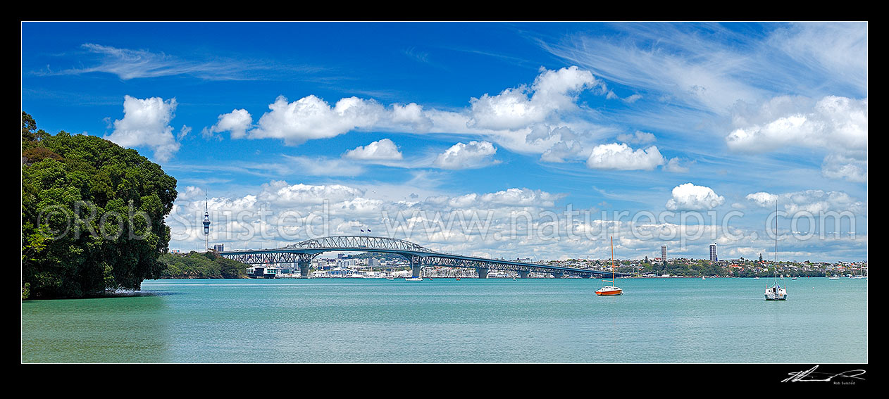 Image of Auckland City, Harbour bridge and Sky Tower from the North Shore. Panorama, Auckland, North Shore City District, Auckland Region, New Zealand (NZ) stock photo image