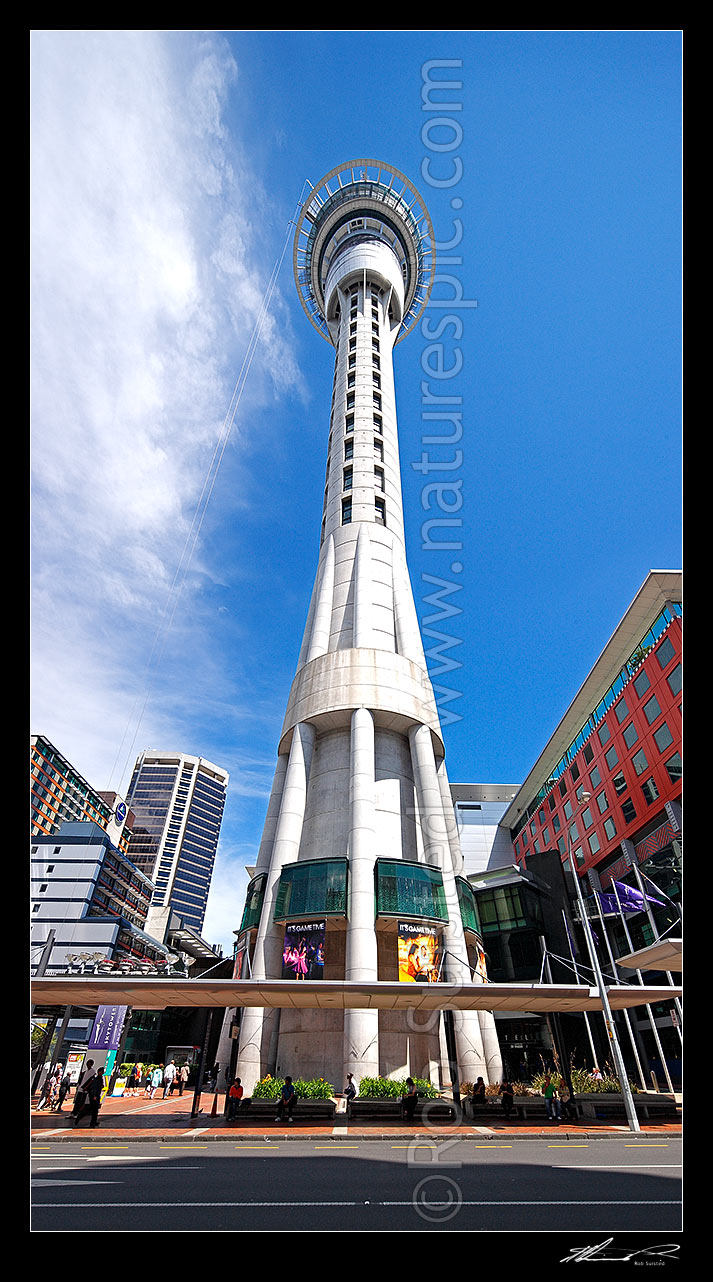 Image of The Auckland Sky Tower at SkyCity. Vertical panorama, Auckland City, Auckland City District, Auckland Region, New Zealand (NZ) stock photo image