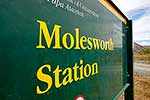 Molesworth Station sign