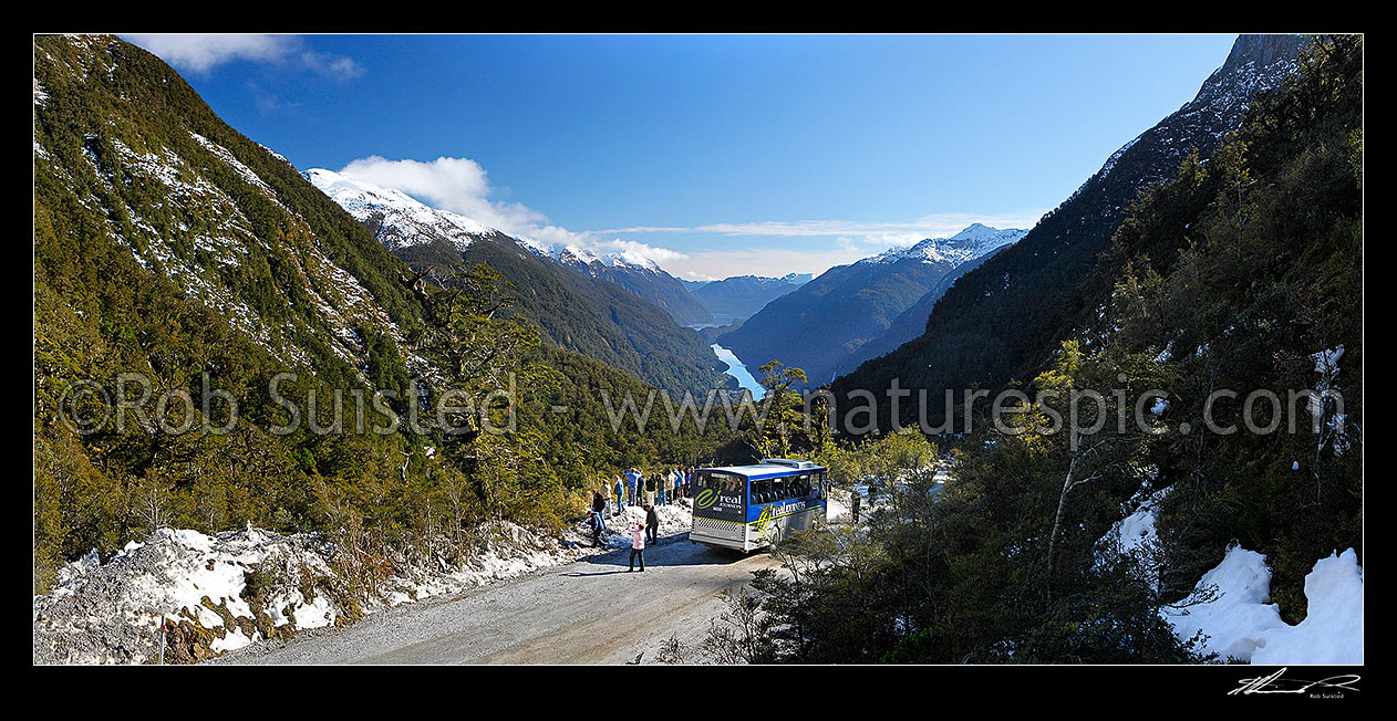 Image of Real Journeys coach on the Wilmot Pass Road for tourists to photograph Deep Cove and Doubtful Sound on a beautiful winter day, Doubtful Sound, Fiordland National Park, Southland District, Southland Region, New Zealand (NZ) stock photo image