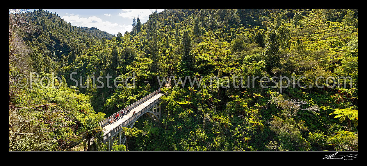 Image of The Bridge to Nowhere, Mangapurua Stream and valley. Historic bridge and popular tourist destination. 38m high, built in 1936. Panorama, Whanganui National Park, Wanganui District, Manawatu-Wanganui Region, New Zealand (NZ) stock photo image