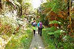 Visitors on the Mangapurua walkway