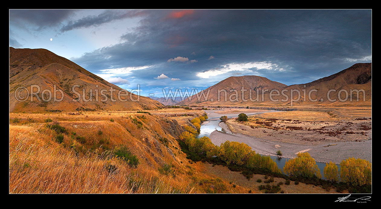 Image of Clarence and Acheron Rivers confluence at sunset and moonrise. Bullen Hills behind. Panorama, Molesworth Station, Marlborough District, Marlborough Region, New Zealand (NZ) stock photo image