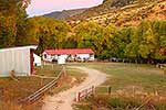 Bush Gully/Molesworth Station