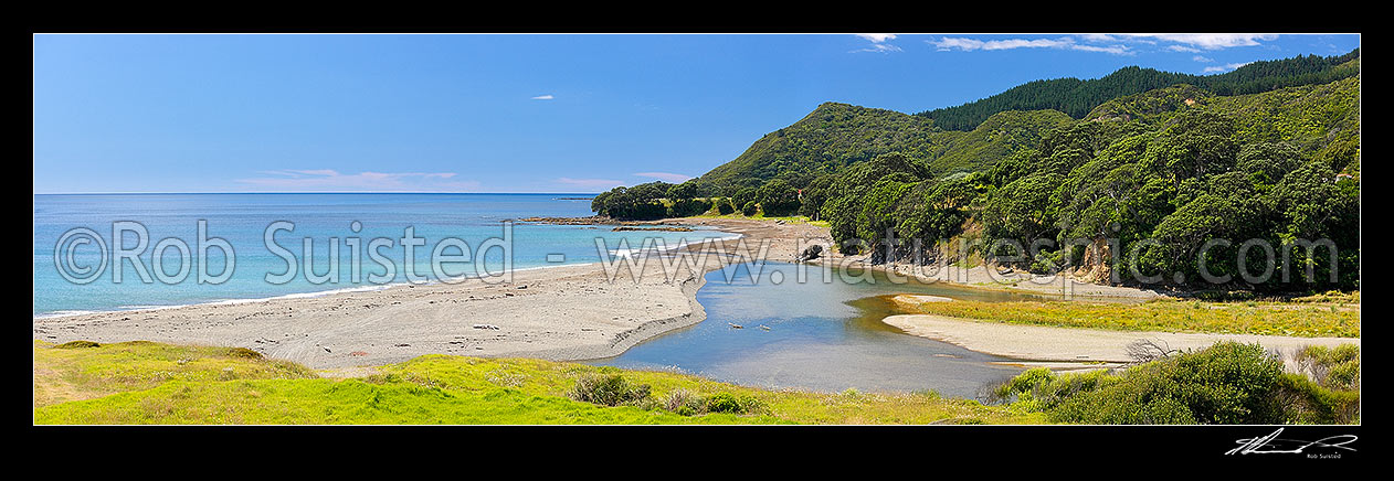 Image of Kereu River mouth, Pohutukawa forest and beach panorama on the coast near Te Kaha, Te Kaha, East Coast, Opotiki District, Bay of Plenty Region, New Zealand (NZ) stock photo image