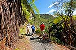 Mangapurua walkway, Whanganui