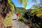 Mangapurua walkway, Whanganui