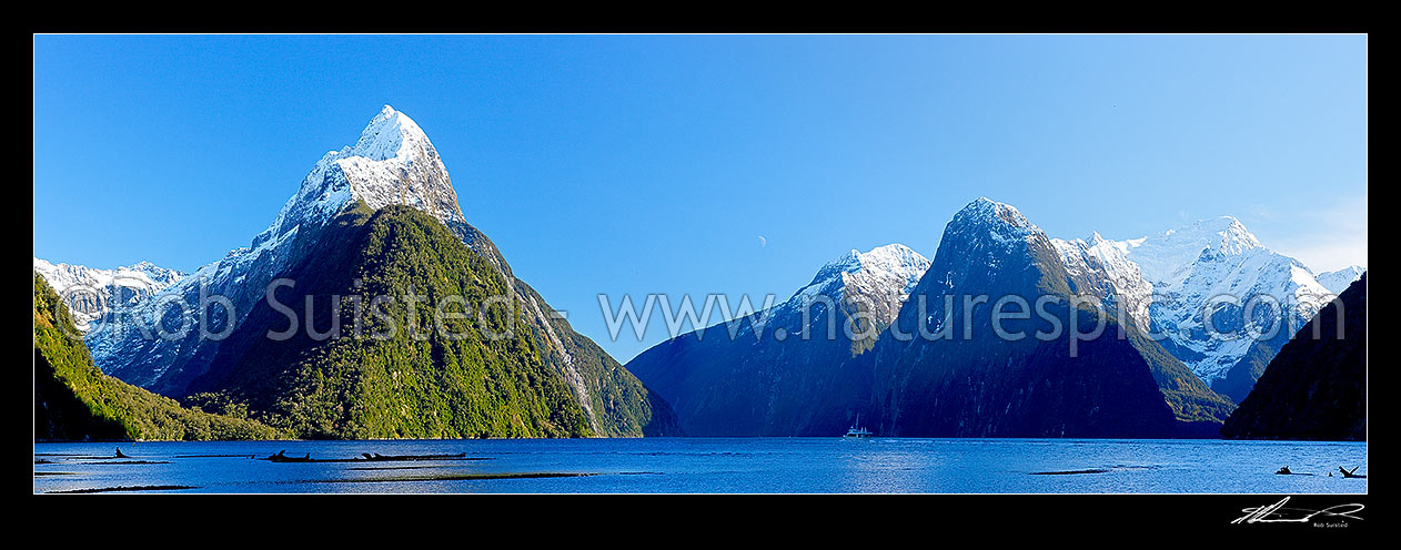 Image of Snow capped Mitre Peak above Milford Sound Fiordland. Mitre Peak left (1683m). The Lion (1302m) and Mt Pembroke (2015m) and Harrison Cove at right. Winter panorama, with tour boat visible, Milford Sound, Fiordland National Park, Southland District, Southland Region, New Zealand (NZ) stock photo image