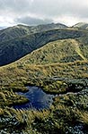 Alpine tarn, Ruahine Forest Park