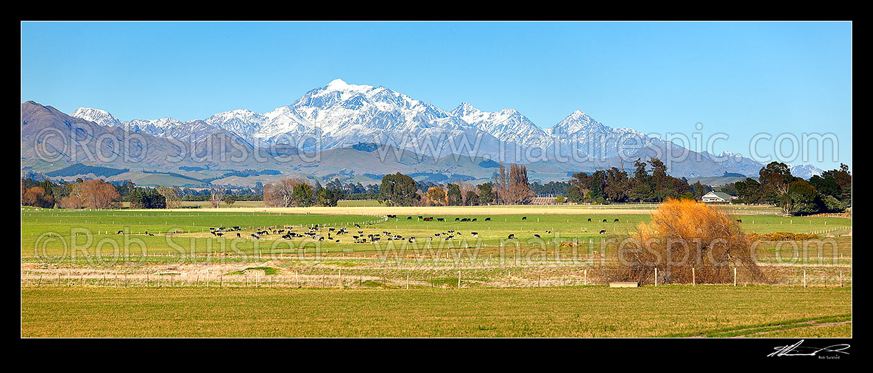 Image of Mount Tapuae-o-uenuku (2885m), Inland Kaikoura Ranges, above dairy farmland in Awatere Valley. Mt Alarm and Mitre Peak right. Panorama, Seddon, Marlborough District, Marlborough Region, New Zealand (NZ) stock photo image