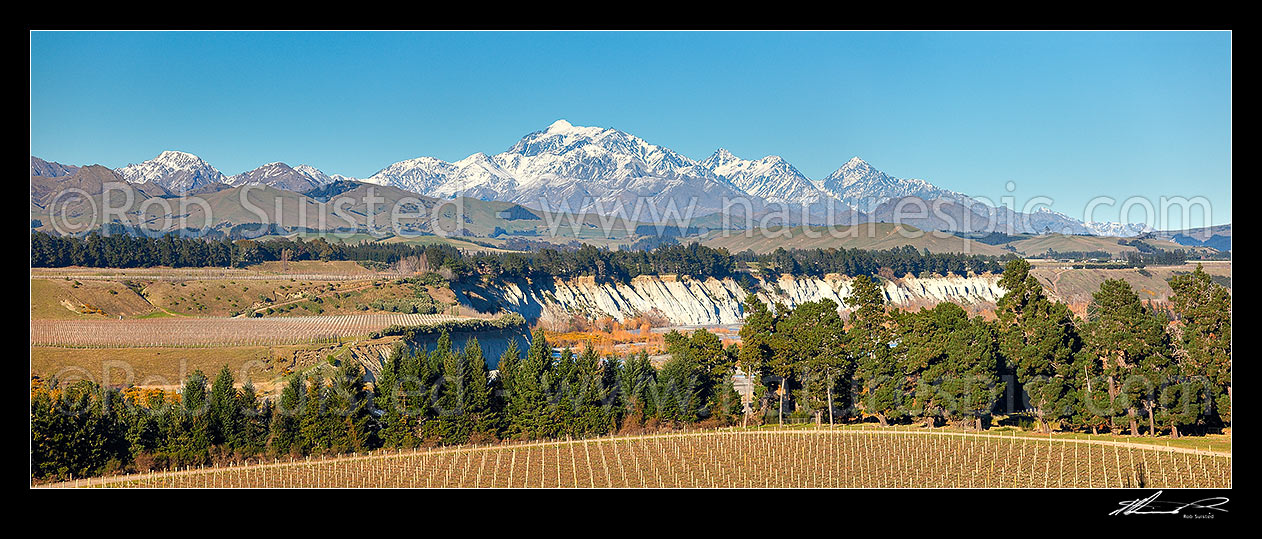 Image of Mount Tapuae-o-uenuku (2885m), Inland Kaikoura Ranges, above grape vineyards in the lower Awatere River Valley. Mt Alarm and Mitre Peak right. Panorama, Seddon, Marlborough District, Marlborough Region, New Zealand (NZ) stock photo image