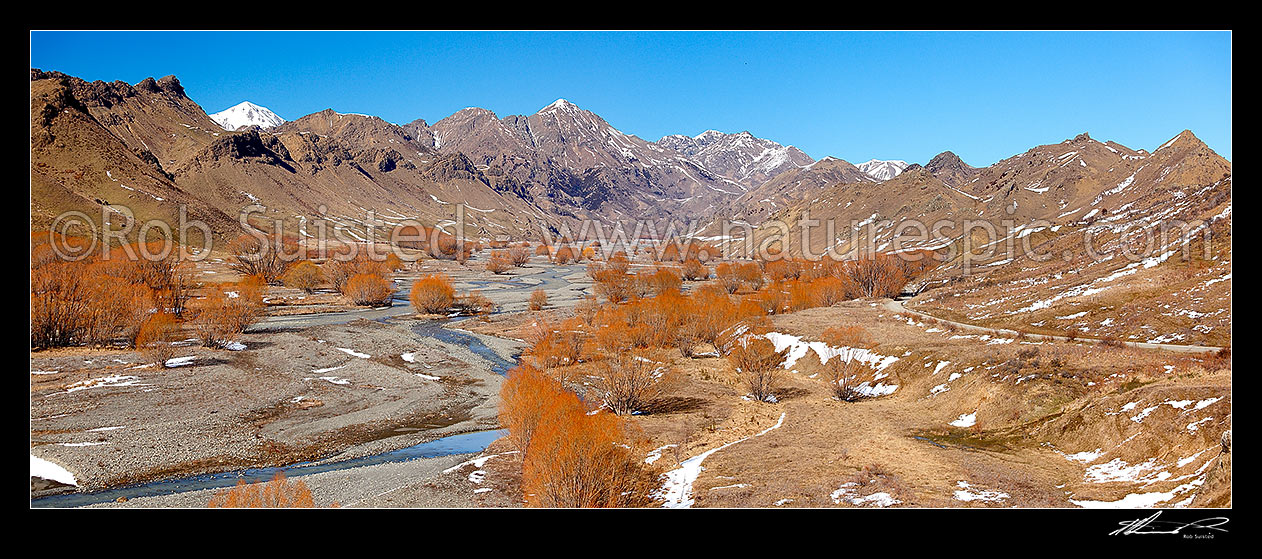 Image of Awatere River upper valley in winter with snow on ground, and barren willow trees. Panorama. Compare to other seasons!: 43042, 43044, 45263, Awatere Valley, Marlborough District, Marlborough Region, New Zealand (NZ) stock photo image