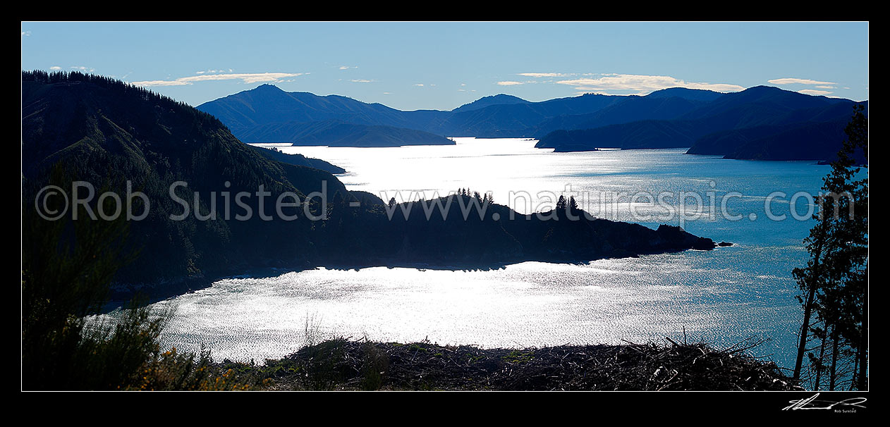 Image of Port Underwood with Robin Hood Bay in foreground. Marlborough Sounds panorama, Port Underwood, Marlborough District, Marlborough Region, New Zealand (NZ) stock photo image