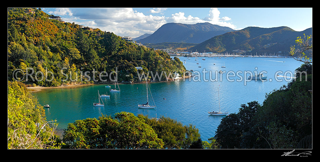 Image of Wharetukura Bay with homes and sailboats moored across from Waikawa Bay and Picton, Marlborough Sounds. Panorama, Waikawa Bay, Marlborough District, Marlborough Region, New Zealand (NZ) stock photo image