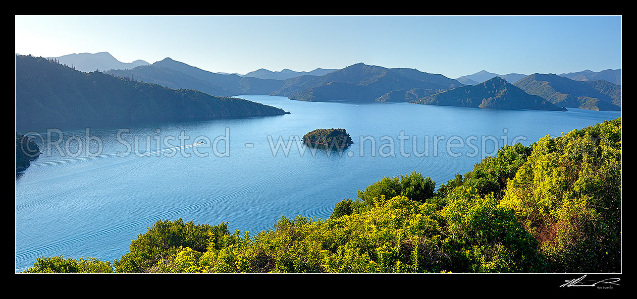 Image of Queen Charlotte Sound in the Marlborough Sounds. Wedge Point, Grove Arm and Mabel Island centre, with powerboat heading out from Picton. Panorama, Picton, Marlborough Sounds, Marlborough District, Marlborough Region, New Zealand (NZ) stock photo image