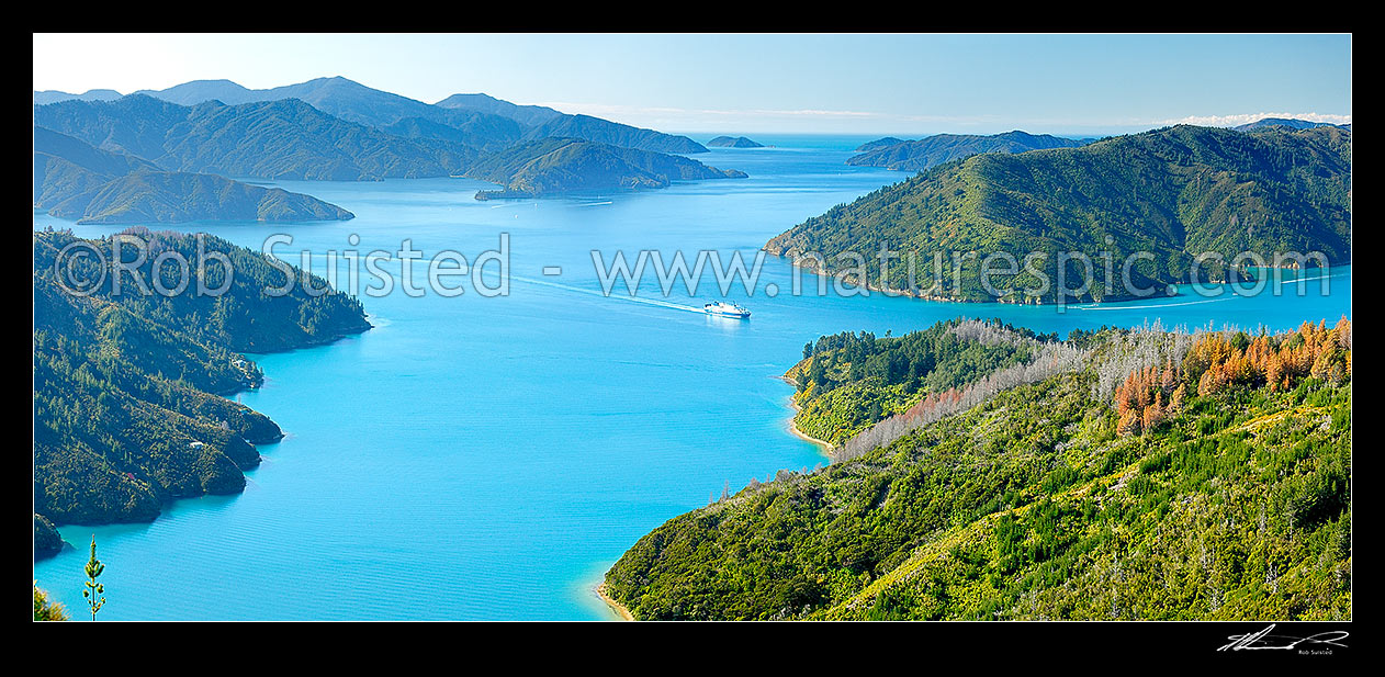 Image of Queen Charlotte Sound. Bluebridge Cook Strait ferry entering Tory Channel near Ruaomoko Point. Above Maraetai Bay. Motuara Island distant. Panorama, Marlborough Sounds, Marlborough District, Marlborough Region, New Zealand (NZ) stock photo image