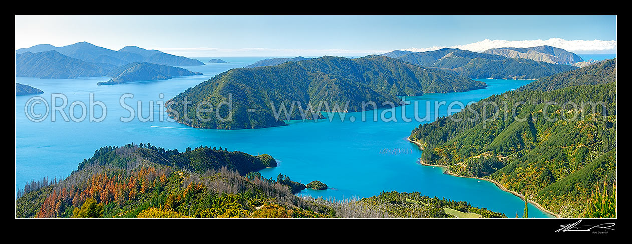 Image of Marlborough Sounds panorama with Queen Charlotte Sound left, Arapawa Island centre, Tory Channel right and Hitaua Bay bottom, Marlborough Sounds, Marlborough District, Marlborough Region, New Zealand (NZ) stock photo image