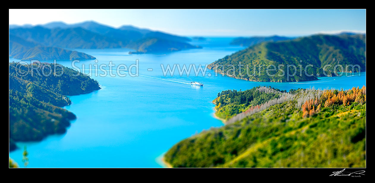 Image of Fake miniature of Queen Charlotte Sound. Bluebridge Cook Strait ferry entering Tory Channel near Ruaomoko Point. See image 44666. Panorama, Marlborough Sounds, Marlborough District, Marlborough Region, New Zealand (NZ) stock photo image