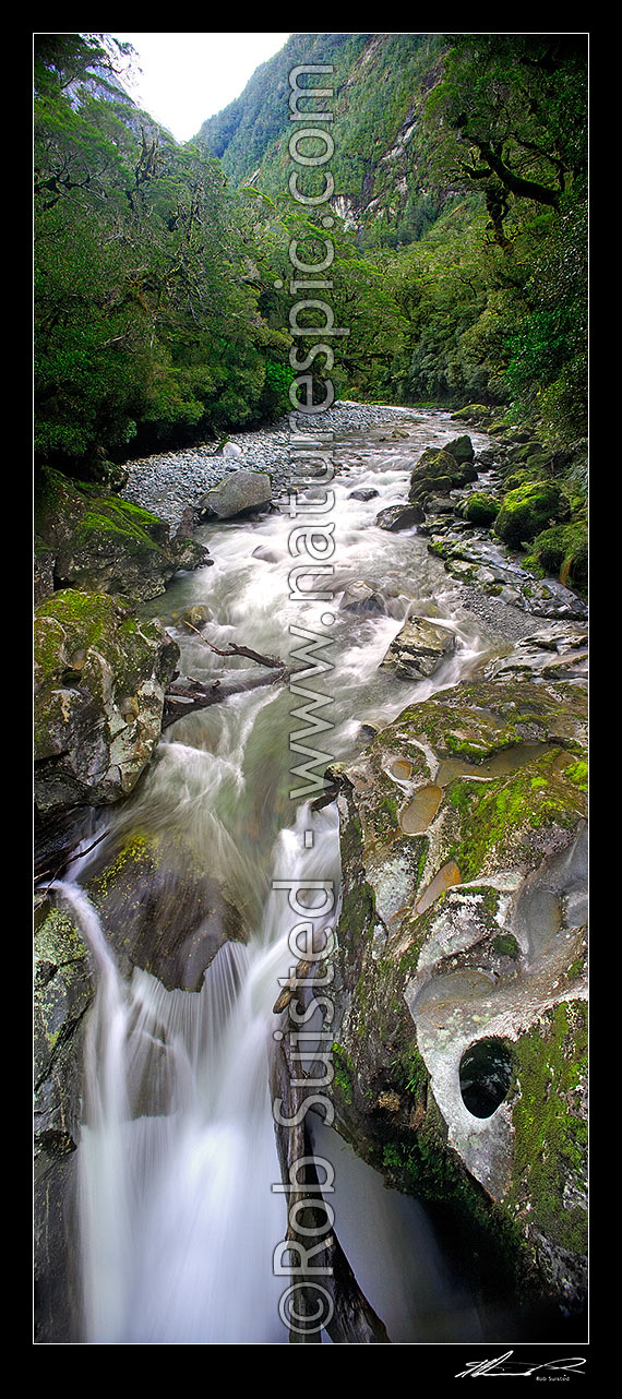 Image of The Chasm is the Cleddau River plunging through a narrow river gorge amongst the Sheerdown Hills, Milford Sound. Vertical panorama, Fiordland National Park, Southland District, Southland Region, New Zealand (NZ) stock photo image