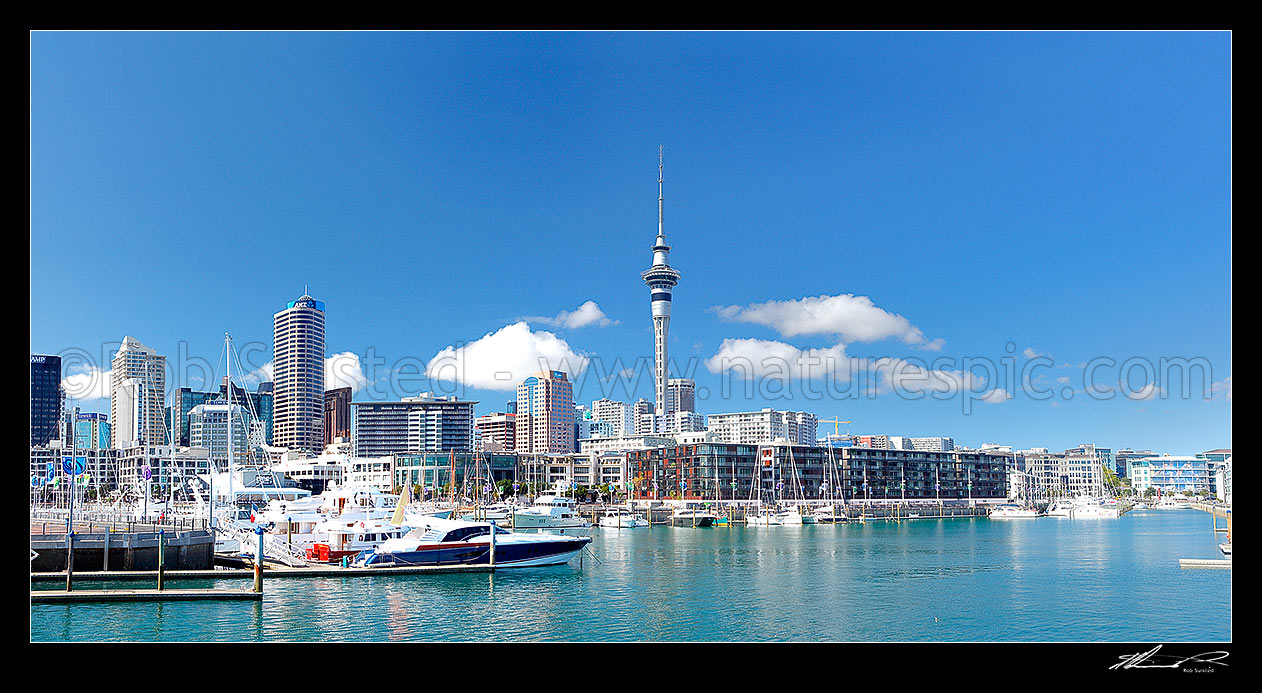 Image of Auckland City waterfront at the Viaduct Harbour Basin with yachts and boats moored in front of the City and buildings. The Auckland Skytower above. Panorama, Auckland City, Auckland City District, Auckland Region, New Zealand (NZ) stock photo image