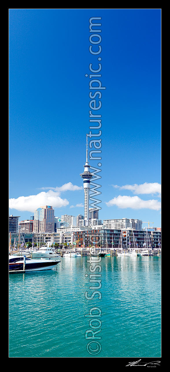 Image of Auckland City waterfront at the Viaduct Harbour Basin with yachts and boats moored in front of the City and buildings. The Auckland Skytower above. Vertical panorama, Auckland City, Auckland City District, Auckland Region, New Zealand (NZ) stock photo image