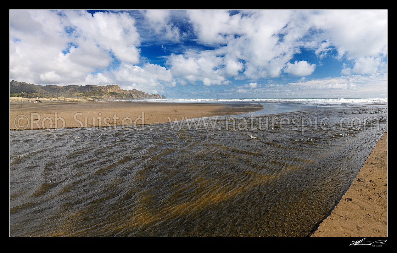 Image of Bethells Beach and Waitakere River mouth panorama. Pukekowhai Point centre, Bethells Beach, West Auckland, Waitakere City District, Auckland Region, New Zealand (NZ) stock photo image