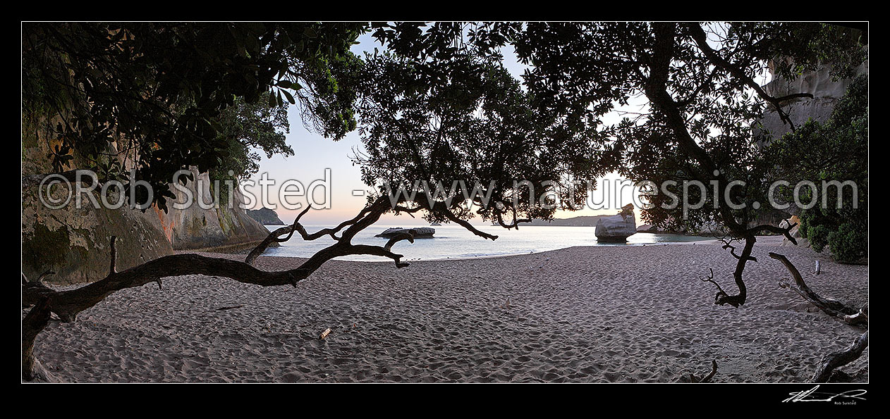 Image of Mares Leg Cove on Cathedral Cove walkway at dawn panorama. Whanganui A Hei Marine Reserve, Hahei, Coromandel Peninsula, Thames-Coromandel District, Waikato Region, New Zealand (NZ) stock photo image