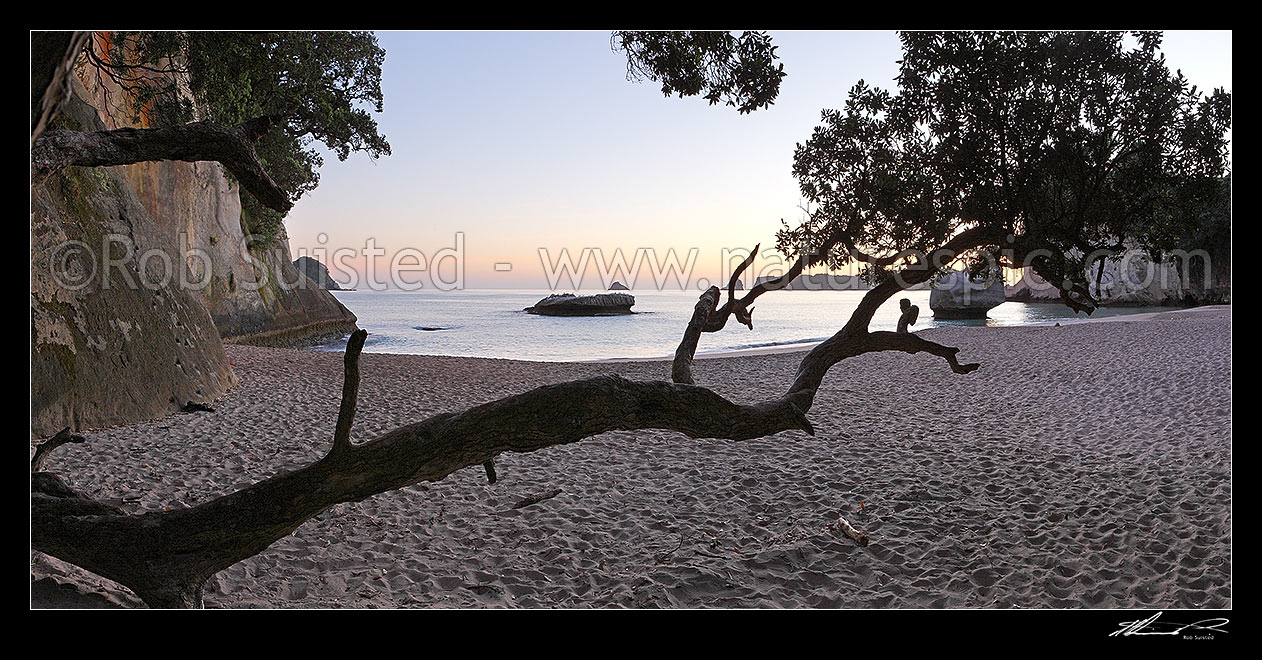 Image of Mares Leg Cove on Cathedral Cove walkway at dawn panorama. Whanganui A Hei Marine Reserve, Hahei, Coromandel Peninsula, Thames-Coromandel District, Waikato Region, New Zealand (NZ) stock photo image