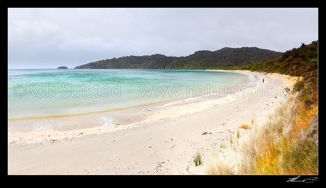 Image of Maori Beach on the Rakiura Track Great Walk, in Wooding Bay, with tramper or walker on beach. Panorama. Rakiura National Park, Port William, Potirepo, Stewart Island District, Southland Region, New Zealand (NZ) stock photo image