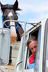 Molesworth horse being transported