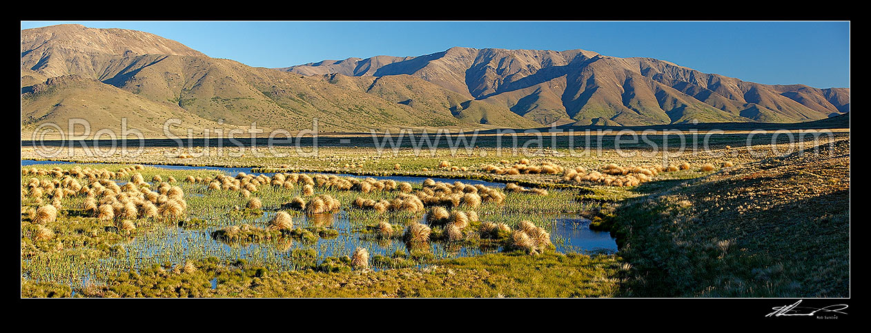 Image of Lake Sedgemere evening, with Alma Heights (left) and Boddington Range (right) above wetlands. Tarndale panorama, Molesworth Station, Marlborough District, Marlborough Region, New Zealand (NZ) stock photo image