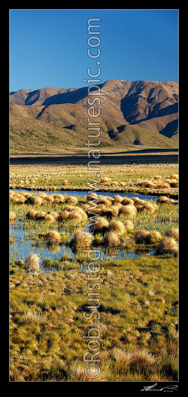 Image of Lake Sedgemere evening, with Boddington Range above wetlands. Tarndale vertical panorama, Molesworth Station, Marlborough District, Marlborough Region, New Zealand (NZ) stock photo image