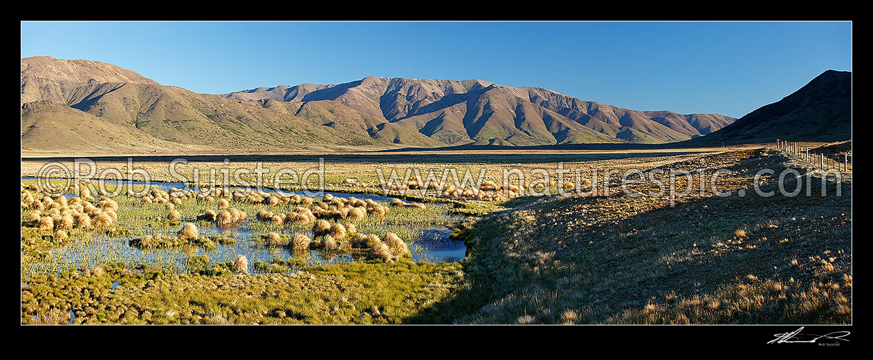 Image of Lake Sedgemere wetlands with Boddington Range behond. Tarndale panorama, Molesworth Station, Marlborough District, Marlborough Region, New Zealand (NZ) stock photo image