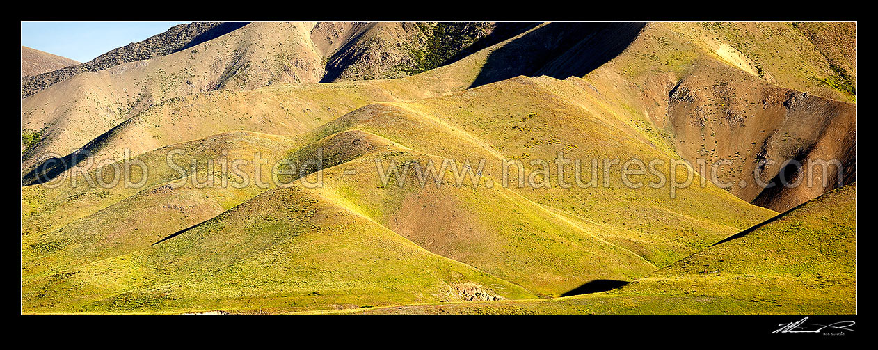 Image of Farmland rolling hills and ridgeline in late evening summer sun showing texture and form. Panorama, Molesworth Station, Marlborough District, Marlborough Region, New Zealand (NZ) stock photo image