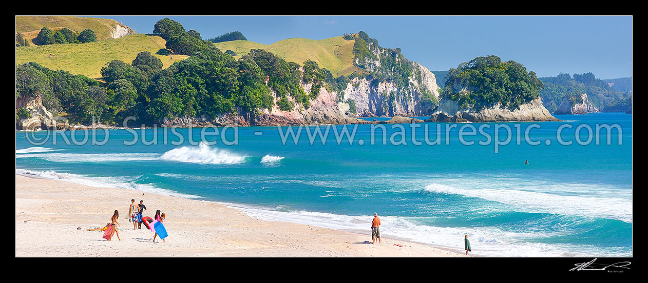 Image of Whiritoa Beach with people enjoying swimming, surfing, walking and sunbathing in summer warmth. Coromandel Peninsula. Panorama, Whiritoa, Hauraki District, Waikato Region, New Zealand (NZ) stock photo image