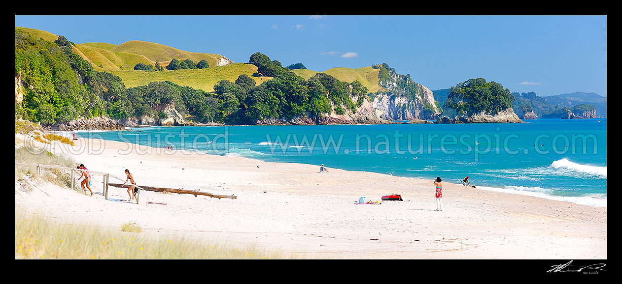 Image of Whiritoa Beach with people enjoying swimming, surfing, walking, sunbathing and kayaking in summer warmth. Coromandel Peninsula. Panorama, Whiritoa, Hauraki District, Waikato Region, New Zealand (NZ) stock photo image