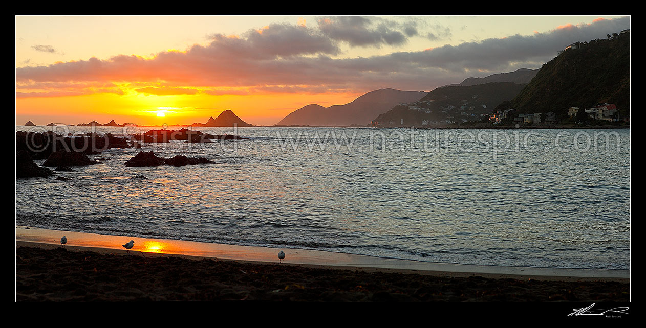 Image of Island Bay summer sunset over Taputeranga Island and Te Raekaihau reef on Wellington's South Coast. Panorama, Houghton Bay, Wellington City District, Wellington Region, New Zealand (NZ) stock photo image