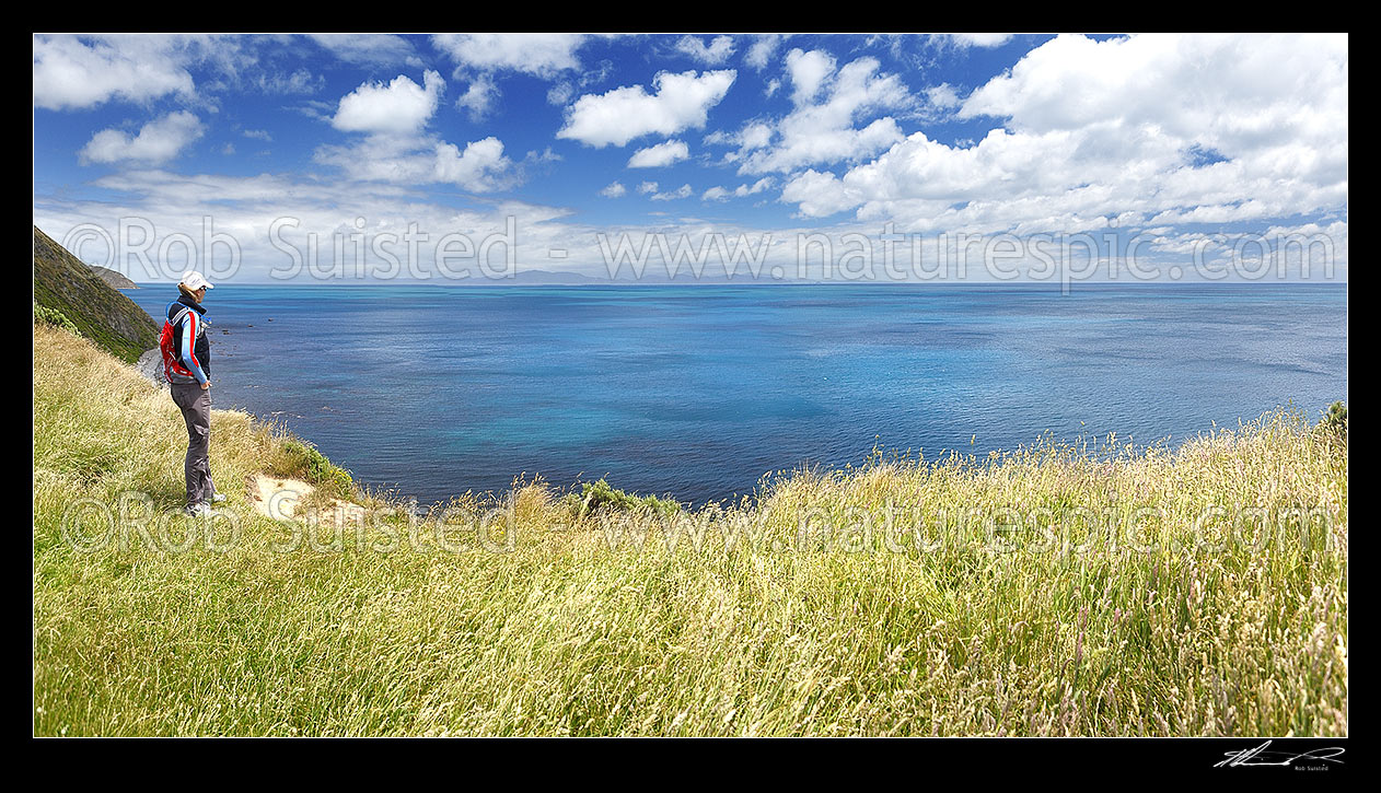 Image of Cook Strait from Makara Walkway. South Island, Marlborough Sounds and The Brothers (right) in distance. Walker enjoying the panorama view, Makara Beach, Wellington City District, Wellington Region, New Zealand (NZ) stock photo image