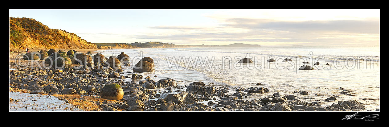 Image of Moeraki Boulders / Kaihinaki on Koekohe Beach at sunrise. 60 Million year old mudstone concretions. Very wide panorama, Moeraki, Waitaki District, Canterbury Region, New Zealand (NZ) stock photo image