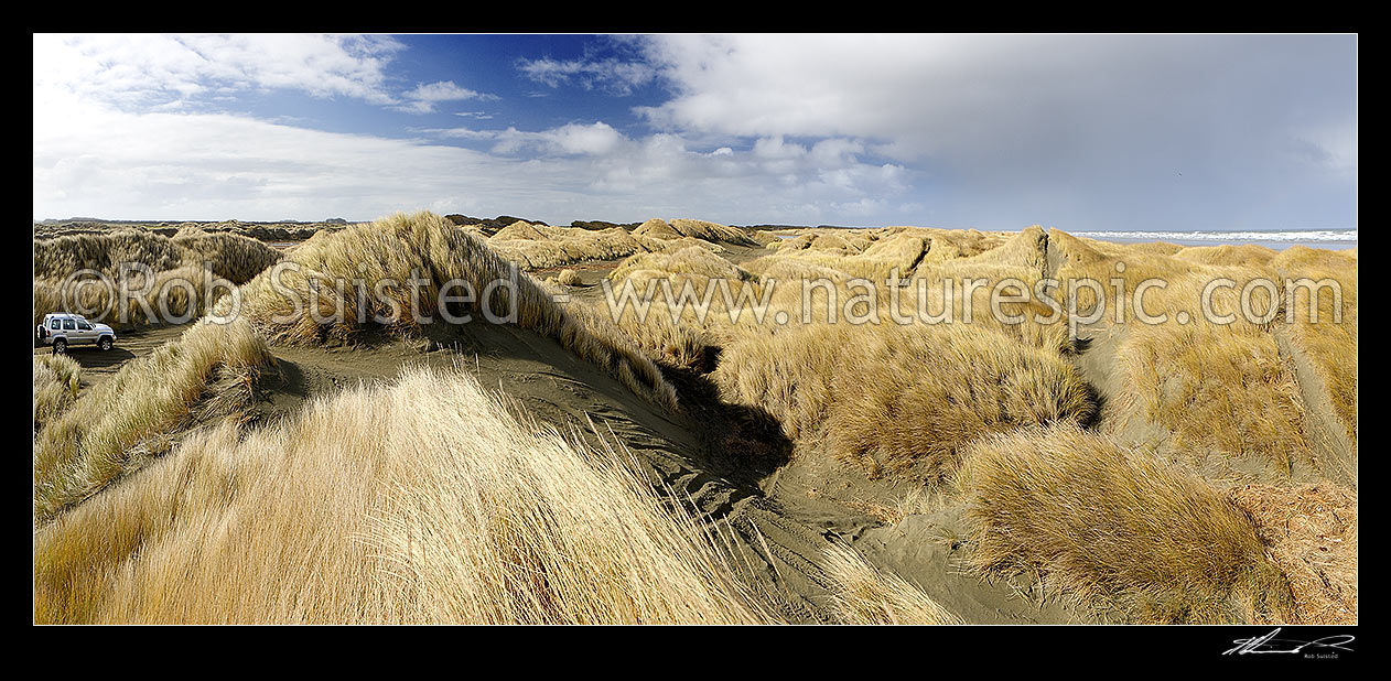 Image of Oreti Beach sand dunes and 4x4 Jeep near Waimatuku Stream mouth, between Invercargill and Riverton. Panorama, Oreti Beach, Southland District, Southland Region, New Zealand (NZ) stock photo image