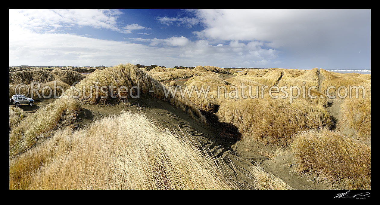 Image of Oreti Beach sand dunes and 4x4 Jeep near Waimatuku Stream mouth, between Invercargill and Riverton. Panorama, Oreti Beach, Invercargill District, Southland Region, New Zealand (NZ) stock photo image