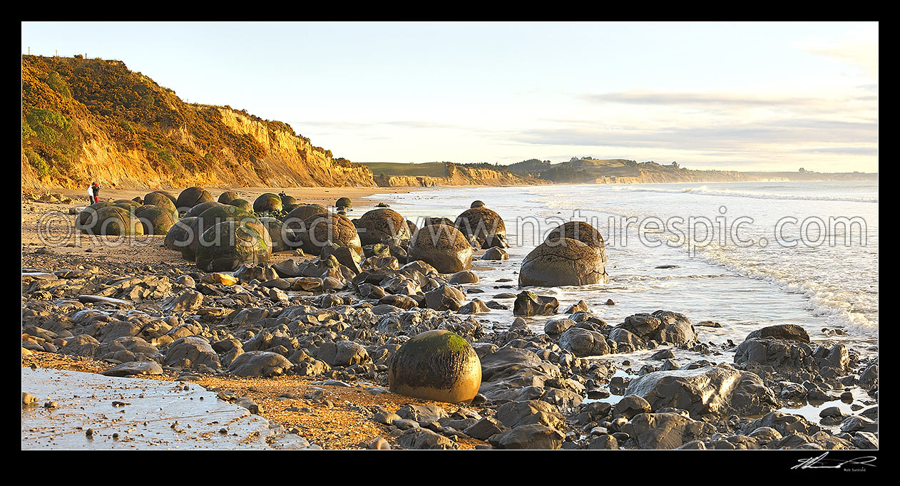 Image of Moeraki Boulders / Kaihinaki, 60 Million year old mudstone concretions with tourists enjoying the sunrise. Panorama, Moeraki, Waitaki District, Canterbury Region, New Zealand (NZ) stock photo image