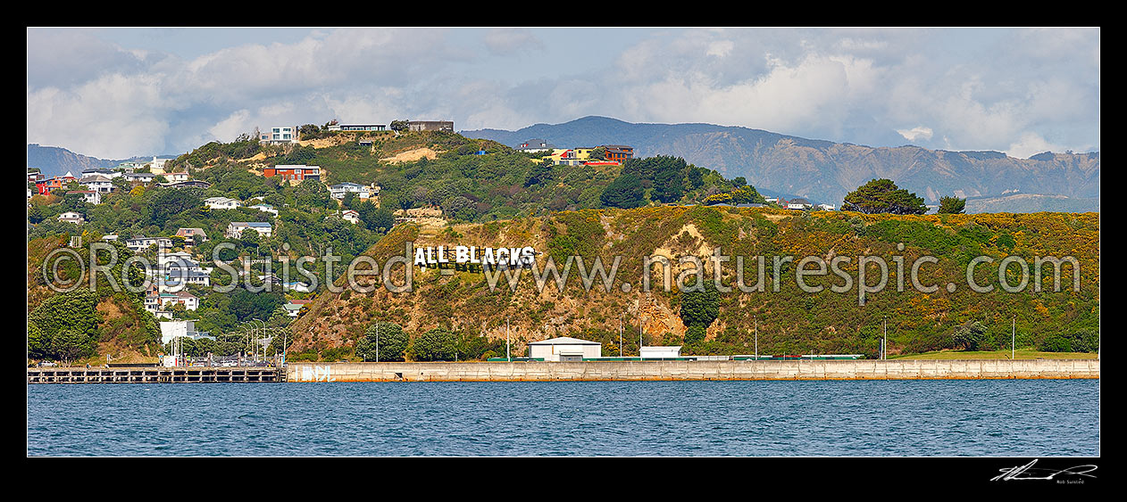 Image of Miramar's controversial Hollywood style sign installed by Wellington International Airport. Panorama, Wellington, Wellington City District, Wellington Region, New Zealand (NZ) stock photo image