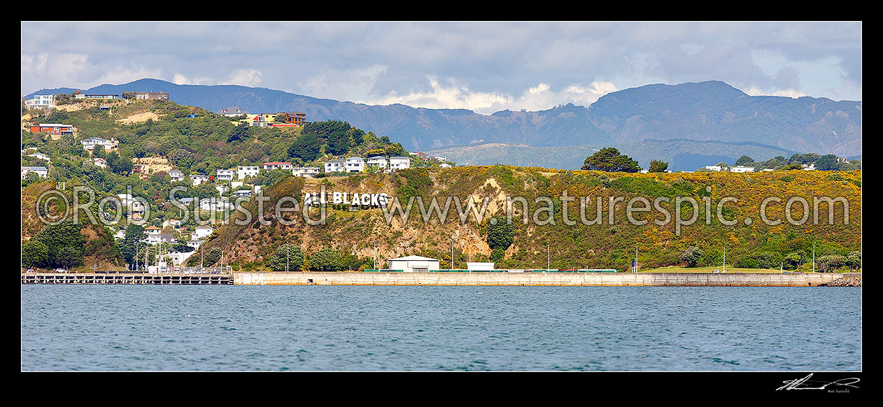 Image of Miramar's controversial Hollywood style sign installed by Wellington International Airport. Panorama, Wellington, Wellington City District, Wellington Region, New Zealand (NZ) stock photo image