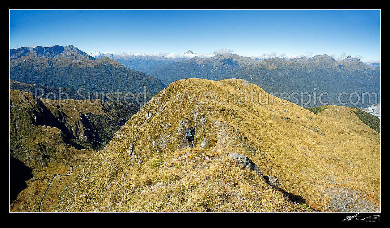 Image of Hunter on the Thomas Range above the Haast River Valley and Brag creek hunting for wild deer. Mt Brewster distant. Panorama, Haast, Westland District, West Coast Region, New Zealand (NZ) stock photo image