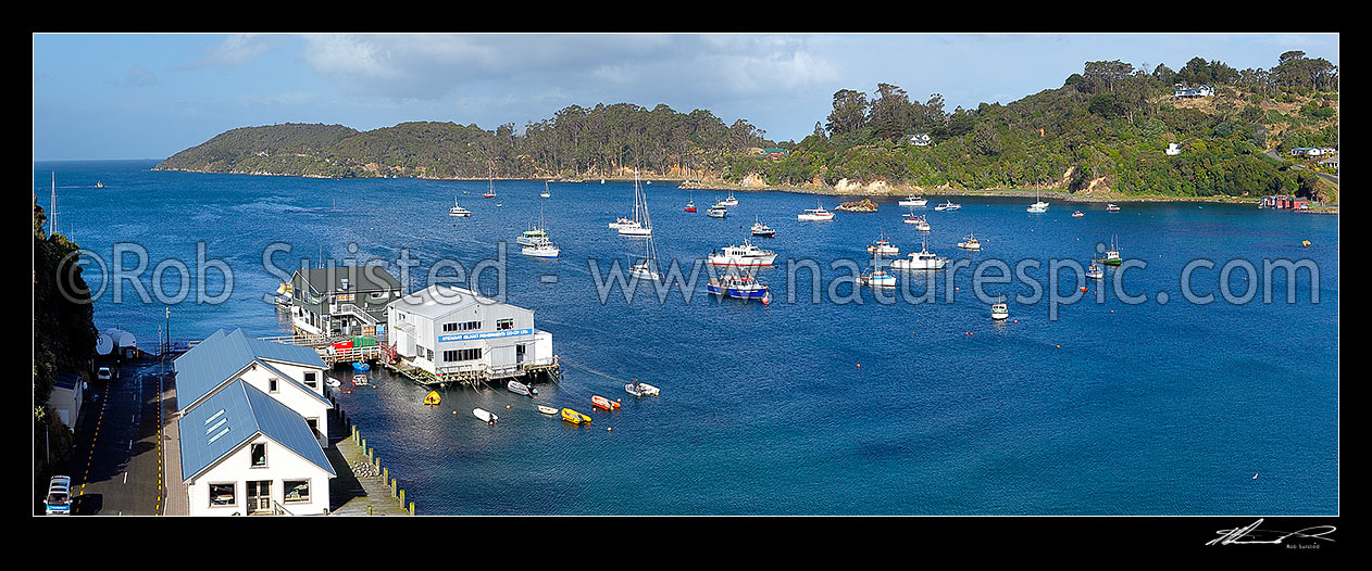 Image of Halfmoon Bay, wharf, and fishing boats moored in the bay at the main town on Stewart Island, Rakiura. Panorama, Halfmoon Bay, Oban, Stewart Island District, Southland Region, New Zealand (NZ) stock photo image