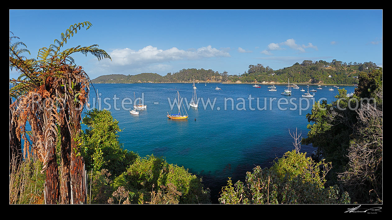 Image of Halfmoon Bay, Stewart Island Rakiura, with sailboats and fishing vessels moored in the bay. Lonnekers Point behind. Panorama, Halfmoon Bay, Oban, Stewart Island District, Southland Region, New Zealand (NZ) stock photo image