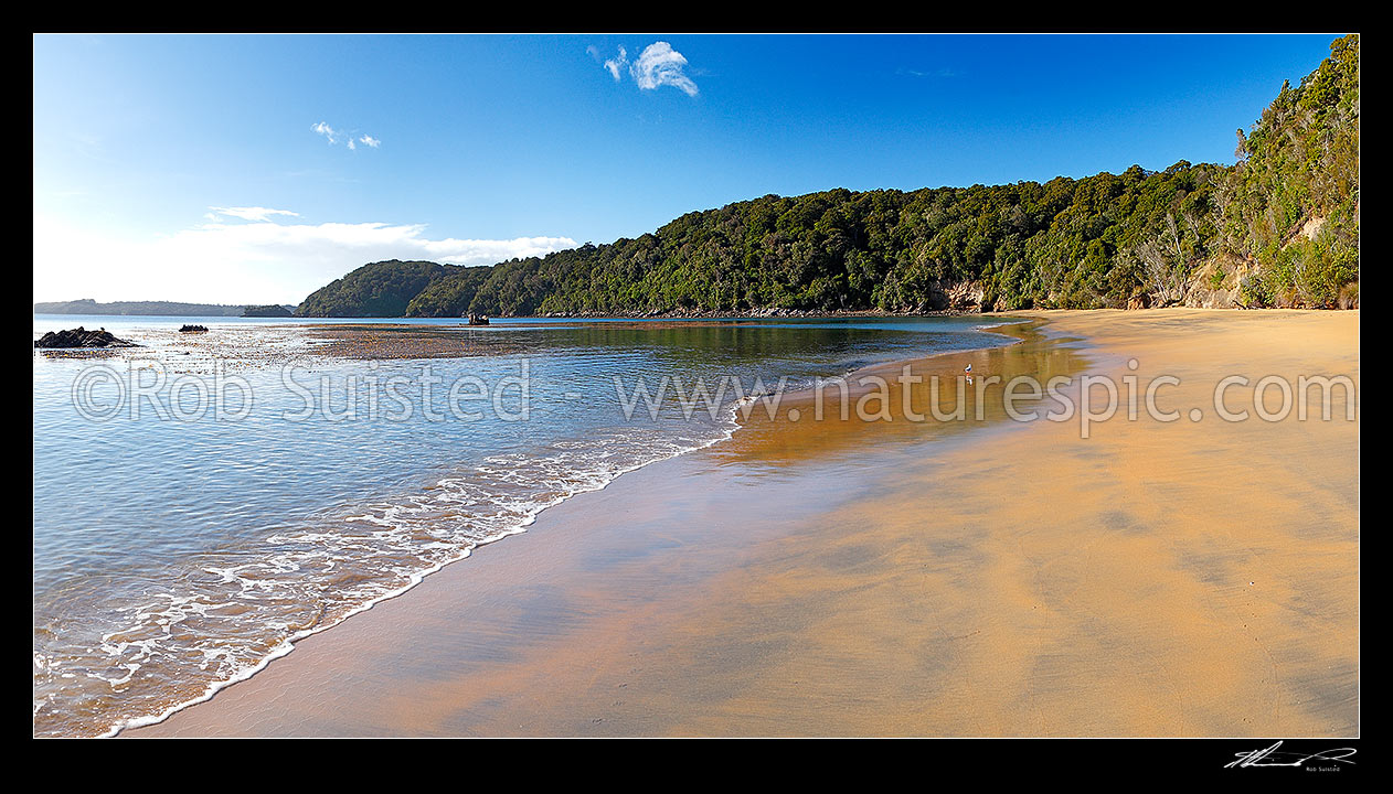 Image of Sydney Cove beach on Ulva Island, on a calm early morning. Rakiura National Park. Te Warawhara Marine Reserve. Panorama, Ulva Island, Stewart Island District, Southland Region, New Zealand (NZ) stock photo image