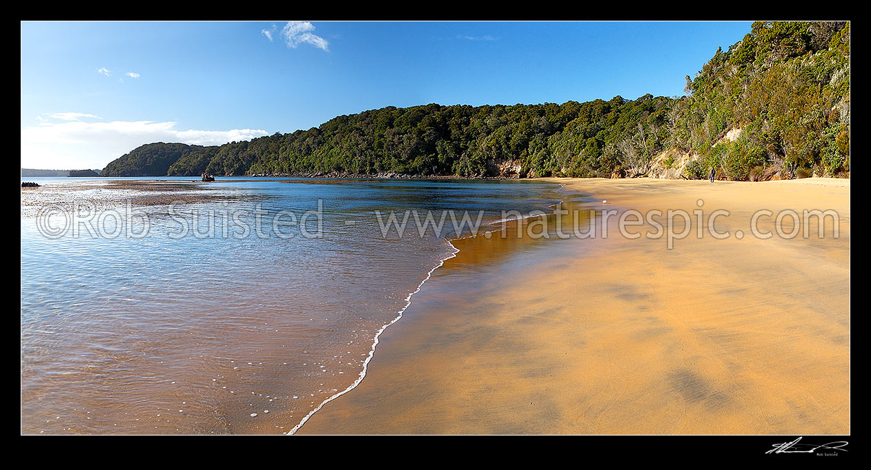 Image of Sydney Cove beach on Ulva Island, on a calm early morning. Rakiura National Park. Panorama with lone walker. Te Warawhara Marine Reserve, Ulva Island, Stewart Island District, Southland Region, New Zealand (NZ) stock photo image